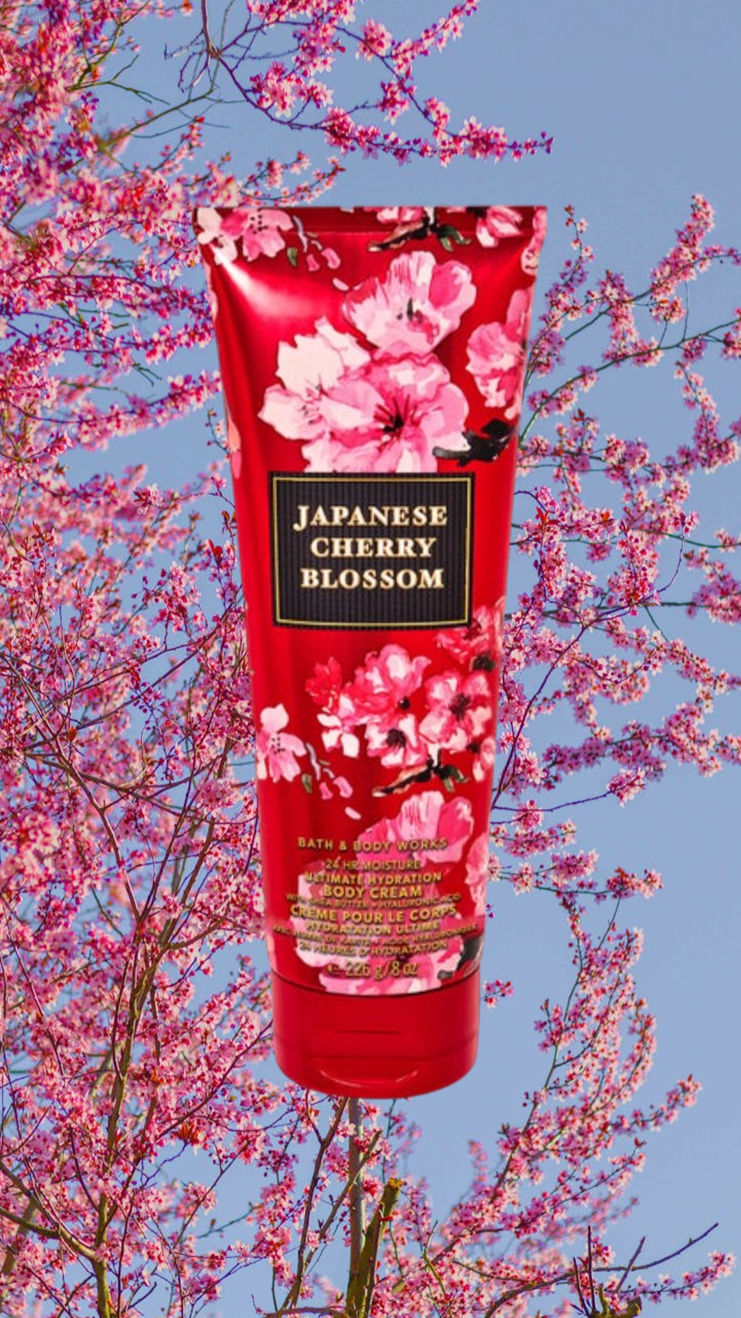 Japanese Cherry Blossom